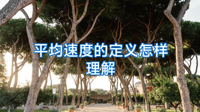 平均速度的定义怎样理解