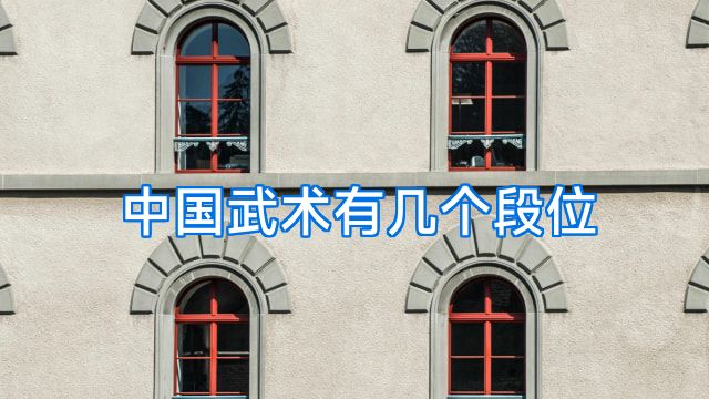 中国武术有几个段位