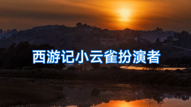 西游记小云雀扮演者