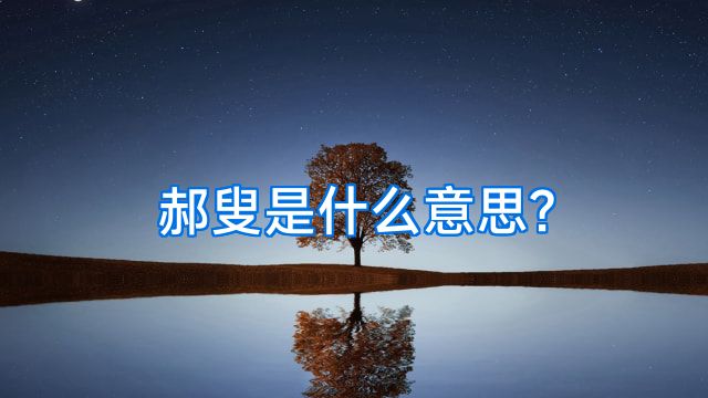 郝叟是什么意思?