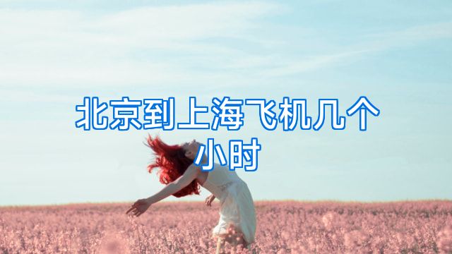 北京到上海飞机几个小时