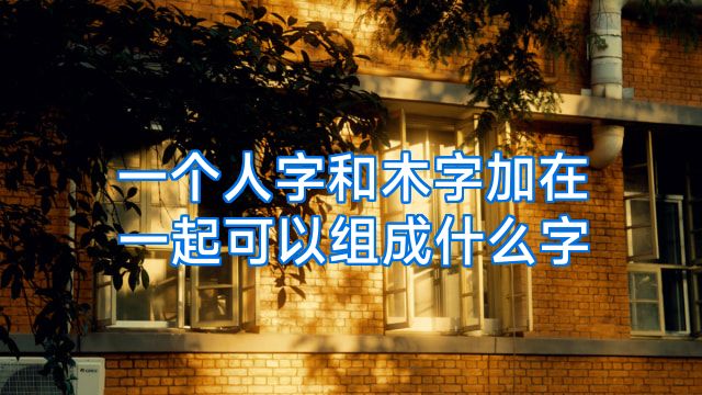 一个人字和木字加在一起可以组成什么字