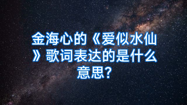 金海心的《爱似水仙》歌词表达的是什么意思?