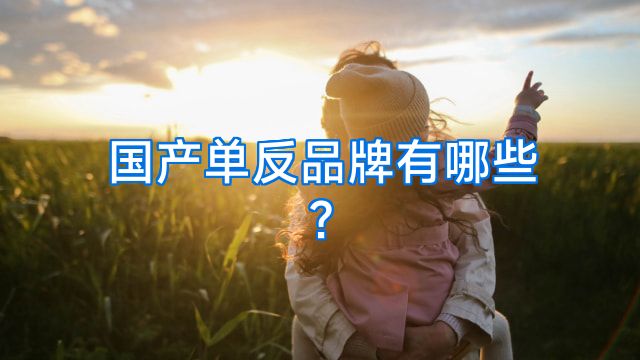 国产单反品牌有哪些?