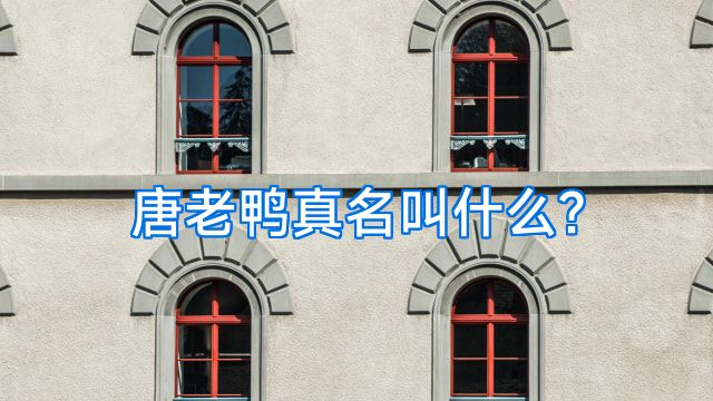 唐老鸭真名叫什么?