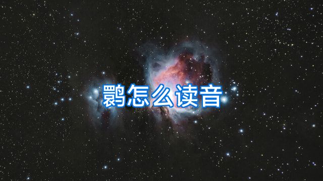鹮怎么读音