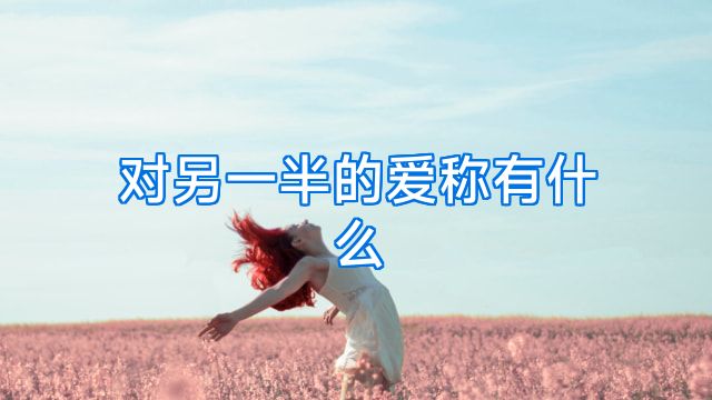 对另一半的爱称有什么