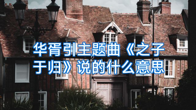 华胥引主题曲《之子于归》说的什么意思