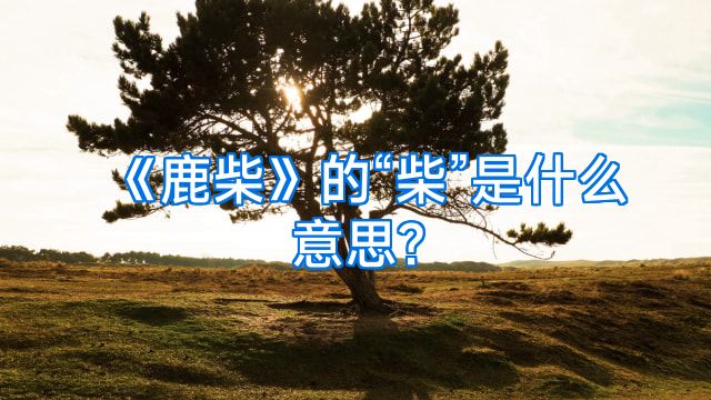《鹿柴》的“柴”是什么意思?
