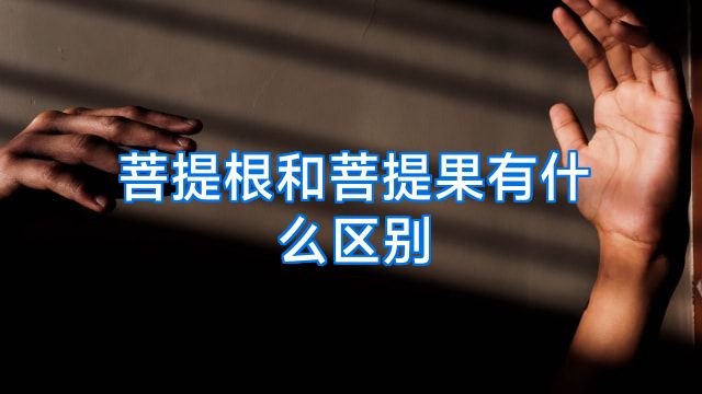 菩提根和菩提果有什么区别