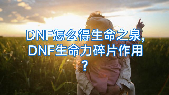 DNF怎么得生命之泉,DNF生命力碎片作用?