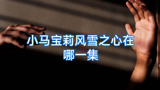 小马宝莉风雪之心在哪一集