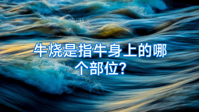 牛烧是指牛身上的哪个部位?