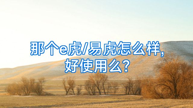 那个e虎/易虎怎么样,好使用么?