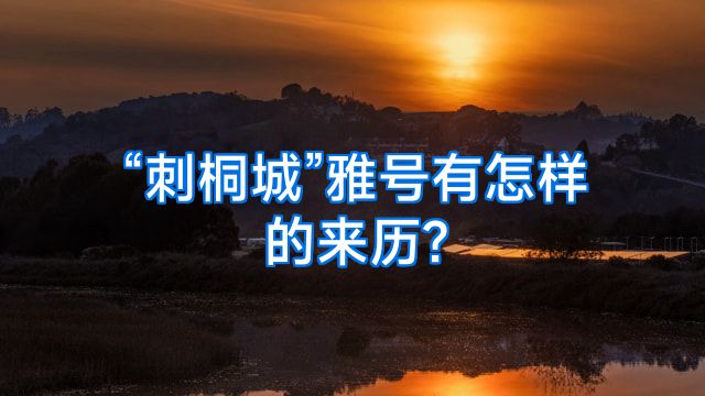 “刺桐城”雅号有怎样的来历?