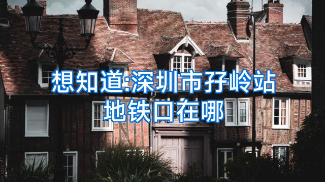 想知道:深圳市孖岭站地铁口在哪