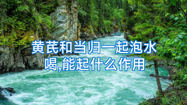 黄芪和当归一起泡水喝,能起什么作用