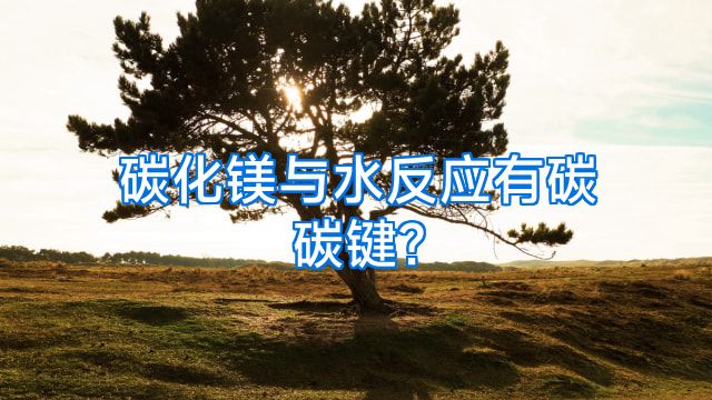 碳化镁与水反应有碳碳键?