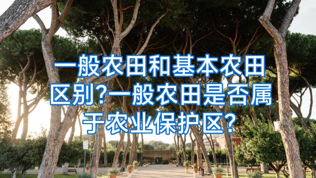 一般农田和基本农田区别?一般农田是否属于农业保护区?