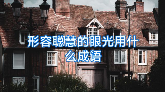 形容聪慧的眼光用什么成语