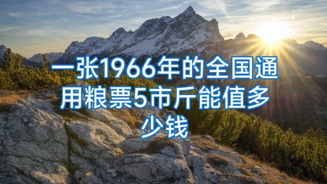 一张1966年的全国通用粮票5市斤能值多少钱