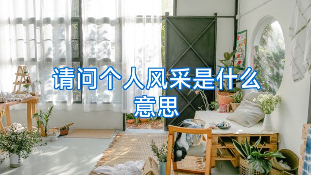 请问个人风采是什么意思