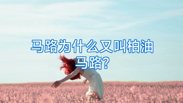 马路为什么又叫柏油马路?