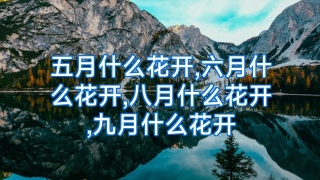 五月什么花开,六月什么花开,八月什么花开,九月什么花开