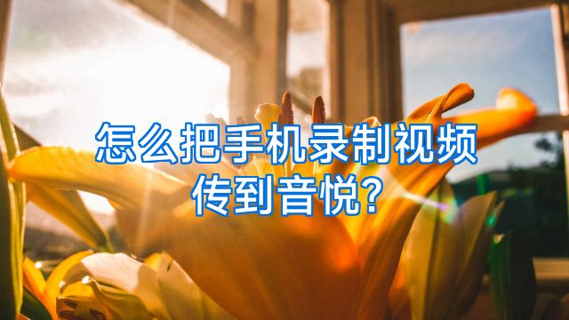 怎么把手机录制视频传到音悦?