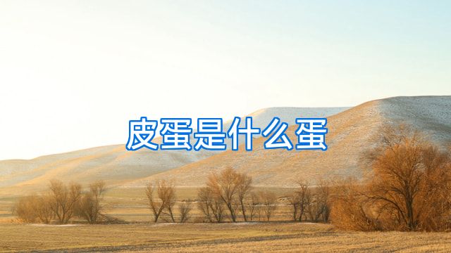 皮蛋是什么蛋