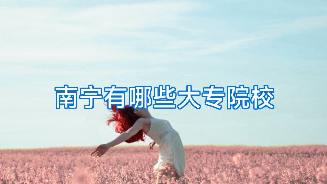 南宁有哪些大专院校