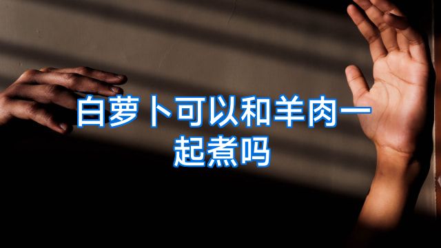 白萝卜可以和羊肉一起煮吗