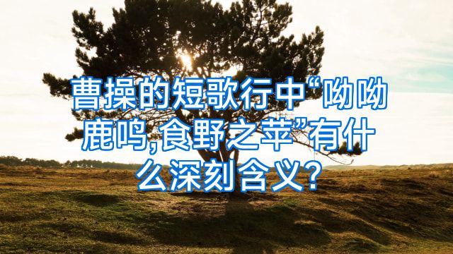 曹操的短歌行中“呦呦鹿鸣,食野之苹”有什么深刻含义?