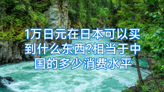 1万日元在日本可以买到什么东西?相当于中国的多少消费水平