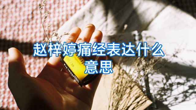 赵梓婷痛经表达什么意思