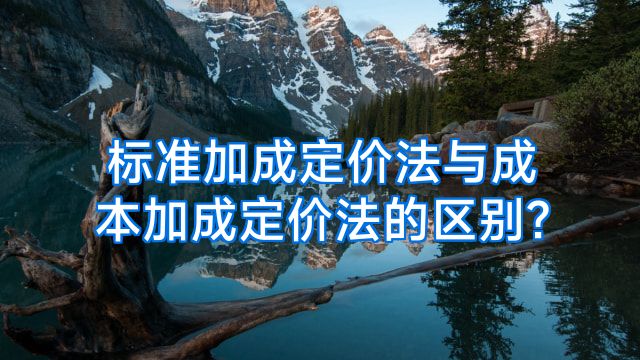 标准加成定价法与成本加成定价法的区别?