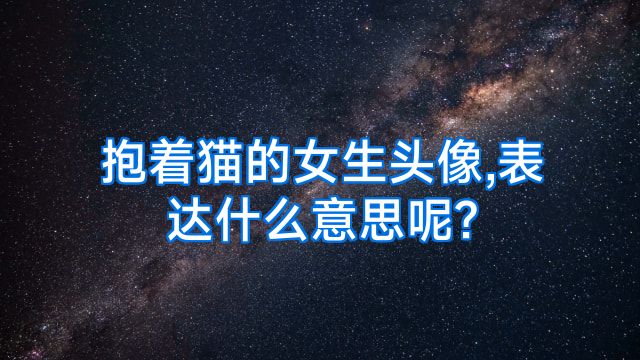 抱着猫的女生头像,表达什么意思呢?