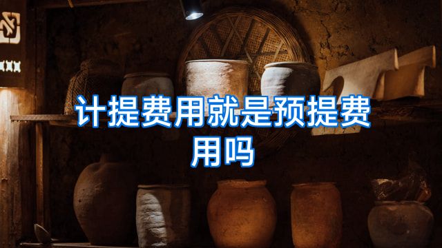 计提费用就是预提费用吗
