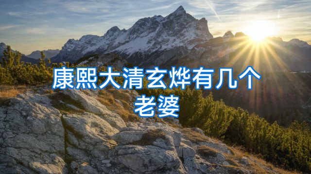 康熙大清玄烨有几个老婆