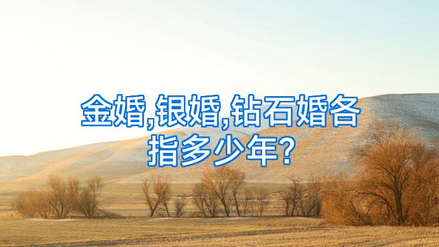 金婚,银婚,钻石婚各指多少年?