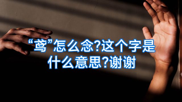 “鸢”怎么念?这个字是什么意思?谢谢