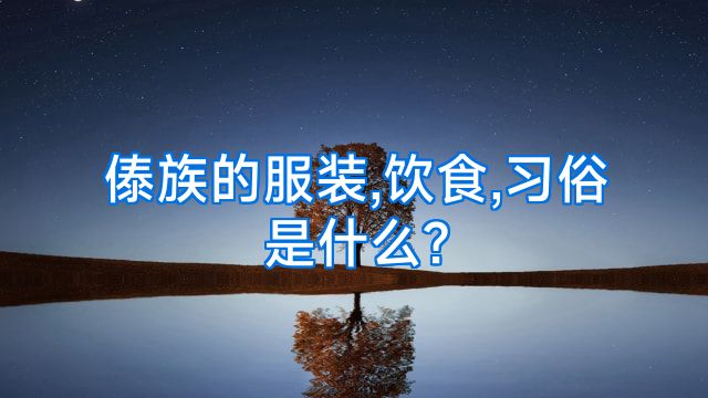 傣族的服装,饮食,习俗是什么?
