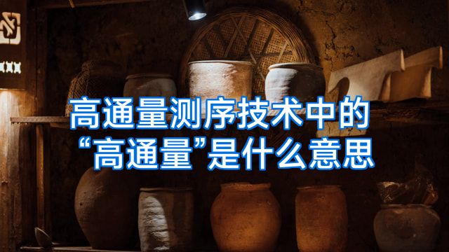 高通量测序技术中的“高通量”是什么意思