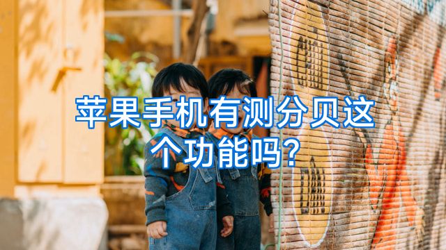 苹果手机有测分贝这个功能吗?