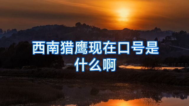 西南猎鹰现在口号是什么啊