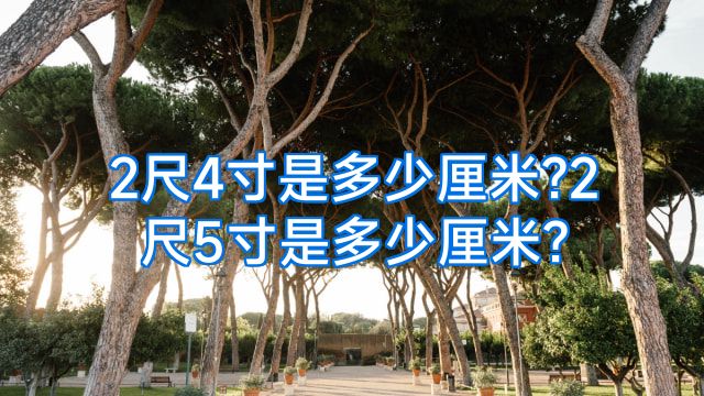 2尺4寸是多少厘米?2尺5寸是多少厘米?