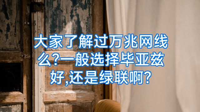大家了解过万兆网线么?一般选择毕亚兹好,还是绿联啊?
