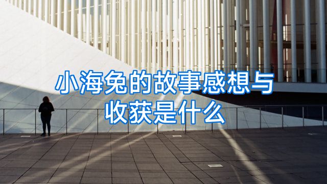 小海兔的故事感想与收获是什么