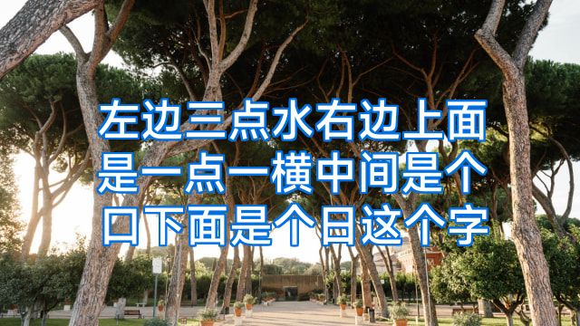 左边三点水右边上面是一点一横中间是个口下面是个日这个字