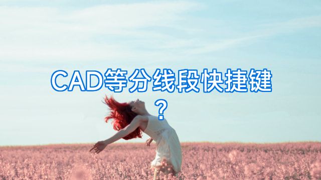 CAD等分线段快捷键?